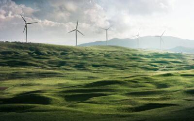 Corporate Transitions for Sustainable Futures – Leadership for the African context