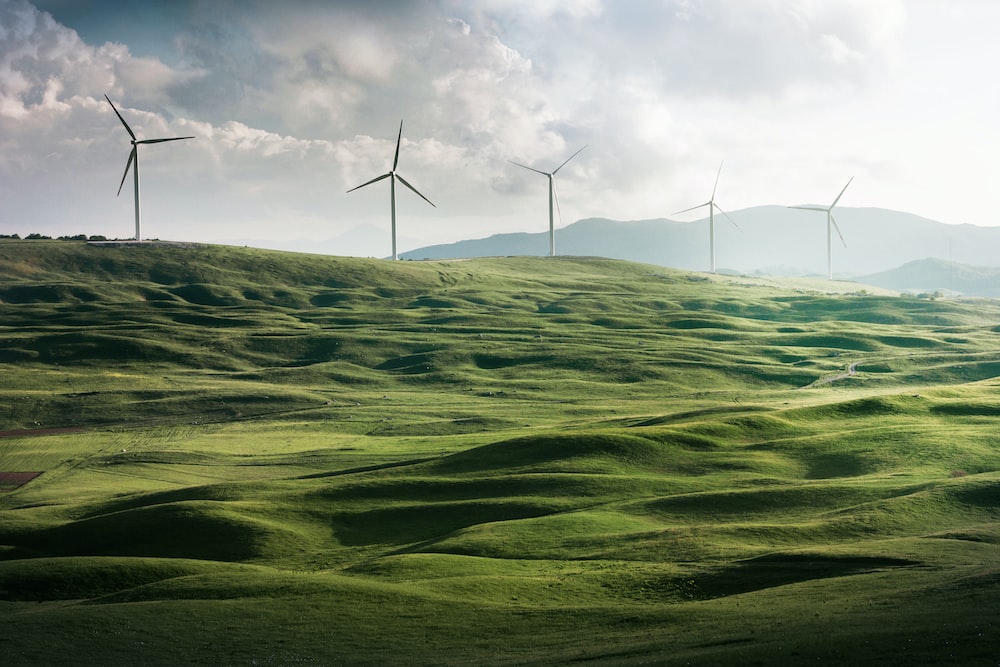 Corporate Transitions for Sustainable Futures – Leadership for the African context