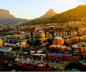 Corporate Transitions for Sustainable Futures